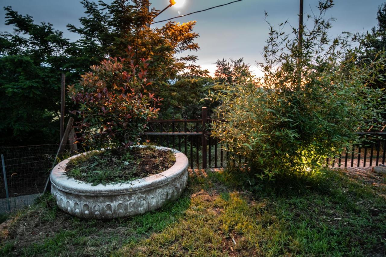 La Torre-1984 Bed & Breakfast Sarnelli Екстериор снимка